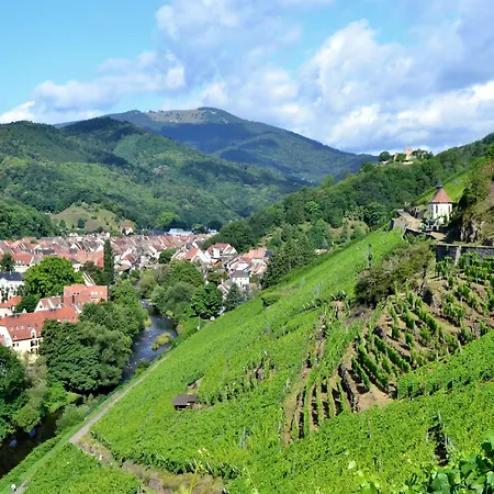 Maison Renovee Au Coeur De : 3 Chambres, Cuisine Equipee, Proche Randonnees Et Alsaciennes - Fr-1-744-11 Casa de Férias *